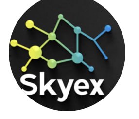 SkyEx logo